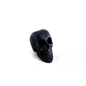 Cranio Caveira Em Resina