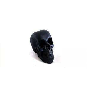 Cranio Caveira Em Resina