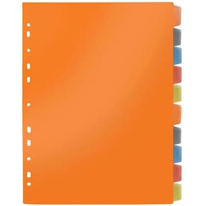 Divisória Fichário Plástica 10 Projeções Pp A4 Visor Colo