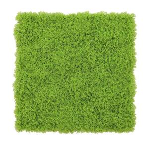 Jardim Vertical Musgo Claro Gg080a Pack 4pç / 1m² Musgo