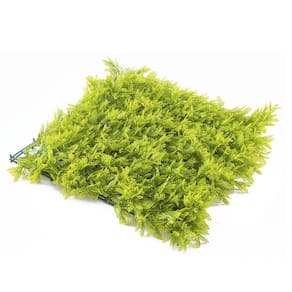 Jardim Vertical Samambaia Gg008a Pack 4pç / 1m² Samambaia