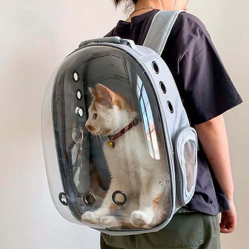 Mochila Bolsa Pet Gato Cachorro Coelho | Casas Bahia