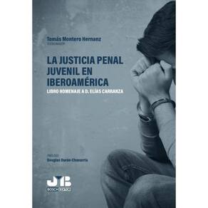 La justicia penal juvenil en Iberoamérica - Espanhol