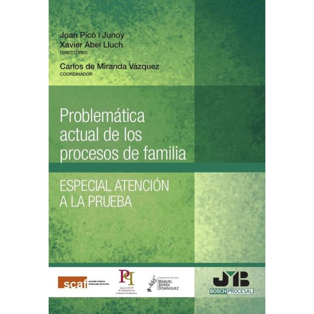 Problemática actual de los procesos de familia. - Espanhol
