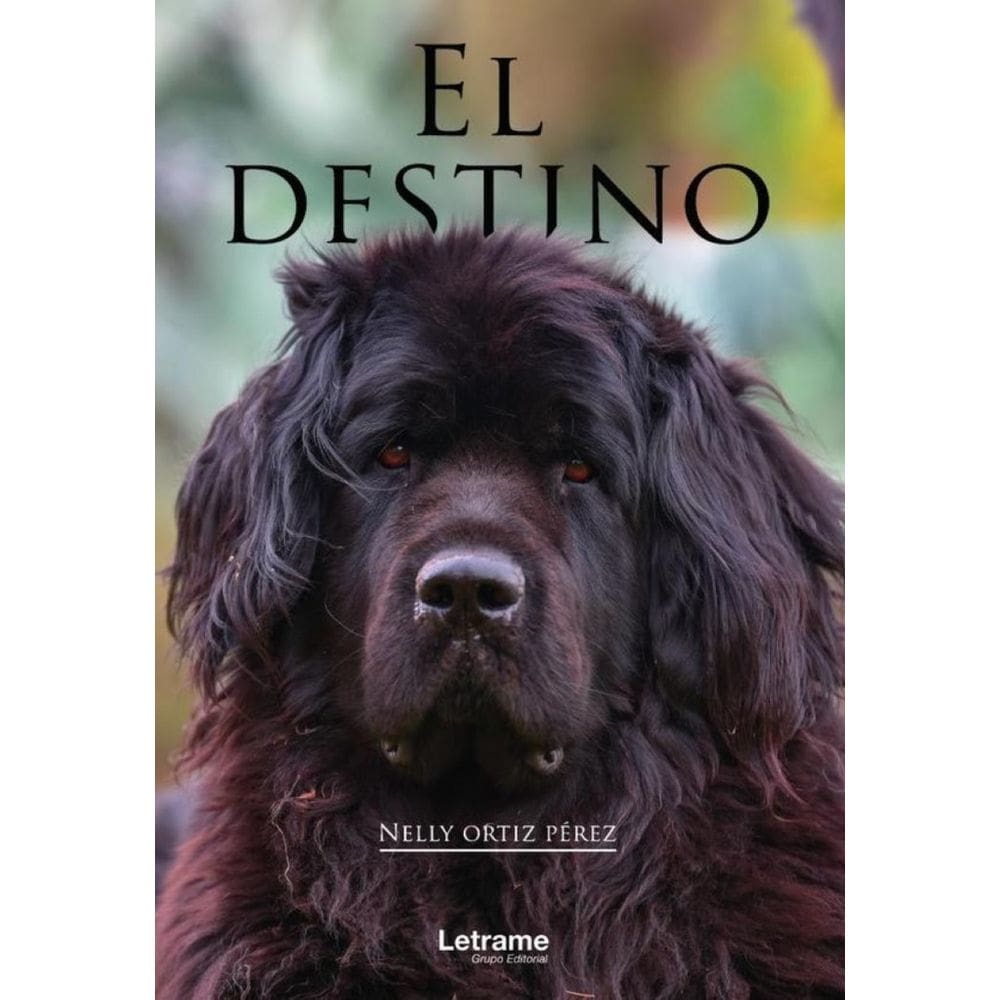 El destino - Espanhol
