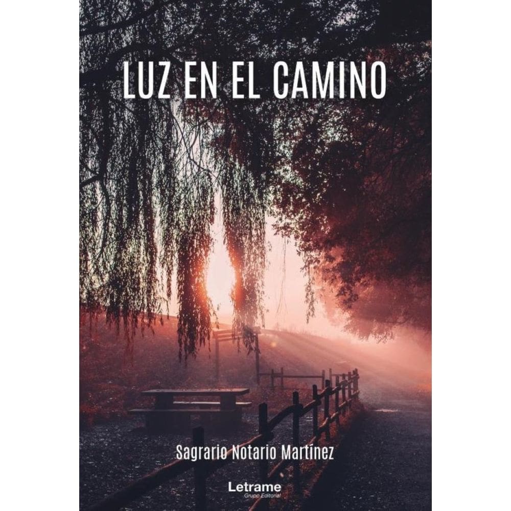 Luz en el camino - Espanhol