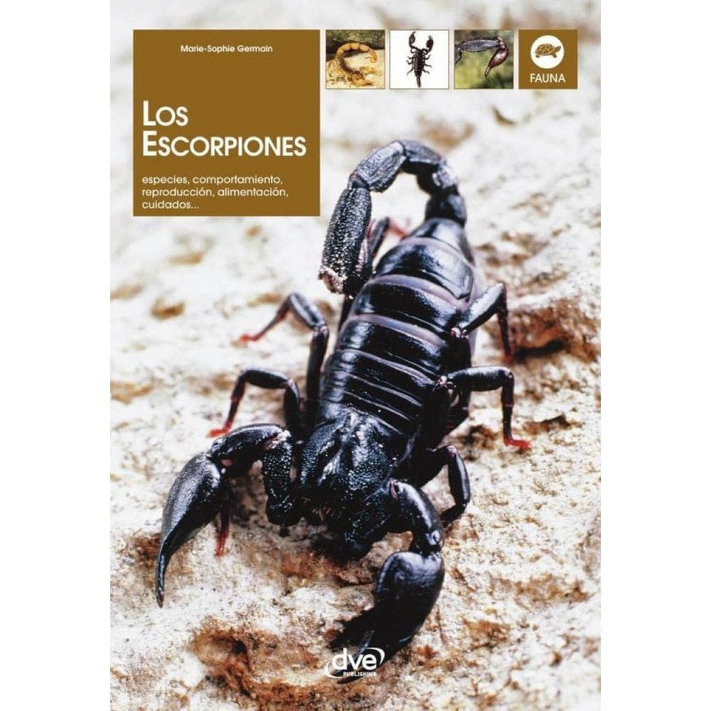 Los escorpiones - Espanhol