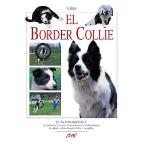 El border collie - Espanhol