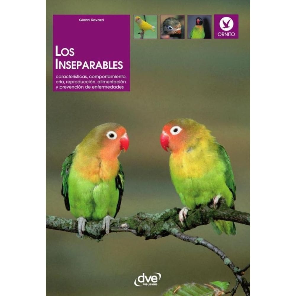 Los inseparables - Espanhol