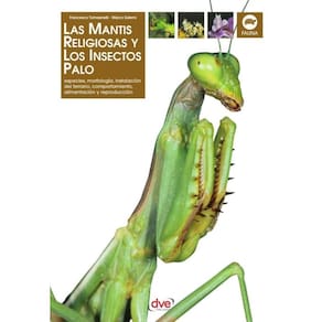 Las Mantis religiosa y los insectos palo - Espanhol