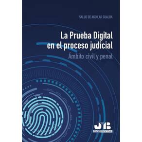 La Prueba Digital en el proceso judicial. - Espanhol
