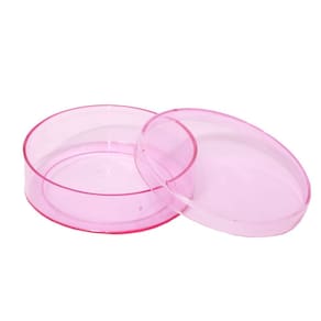 Latinha De Plástico Transparente 5X1Cm Rosa 50 Unidades