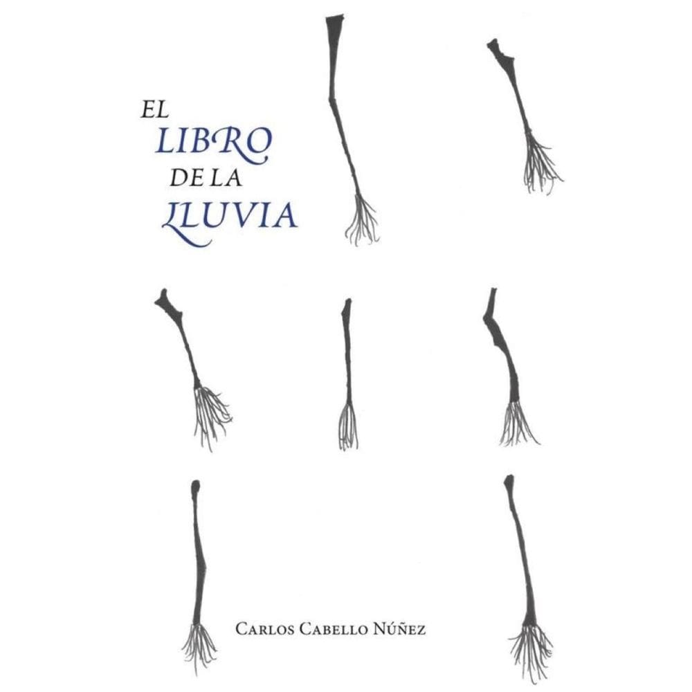 El libro de la lluvia - Espanhol