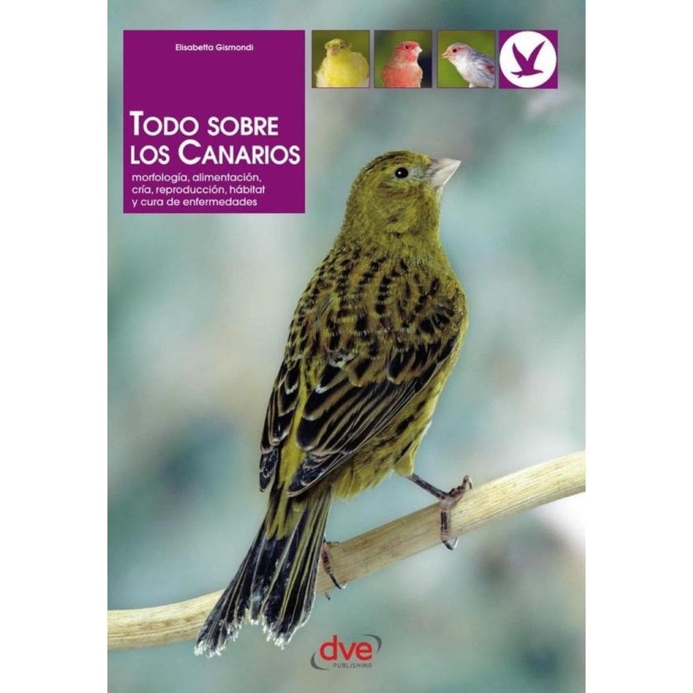 Todo sobre los Canarios - Espanhol
