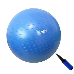 Bola Yoga Suiça Pilates Abdominal Gym Ball 55cm