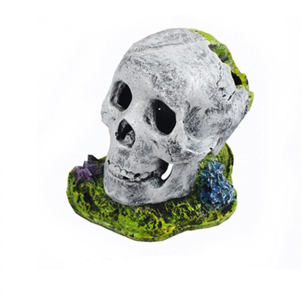 Enfeite Crânio Aquário C 12x8x10 cm Resina