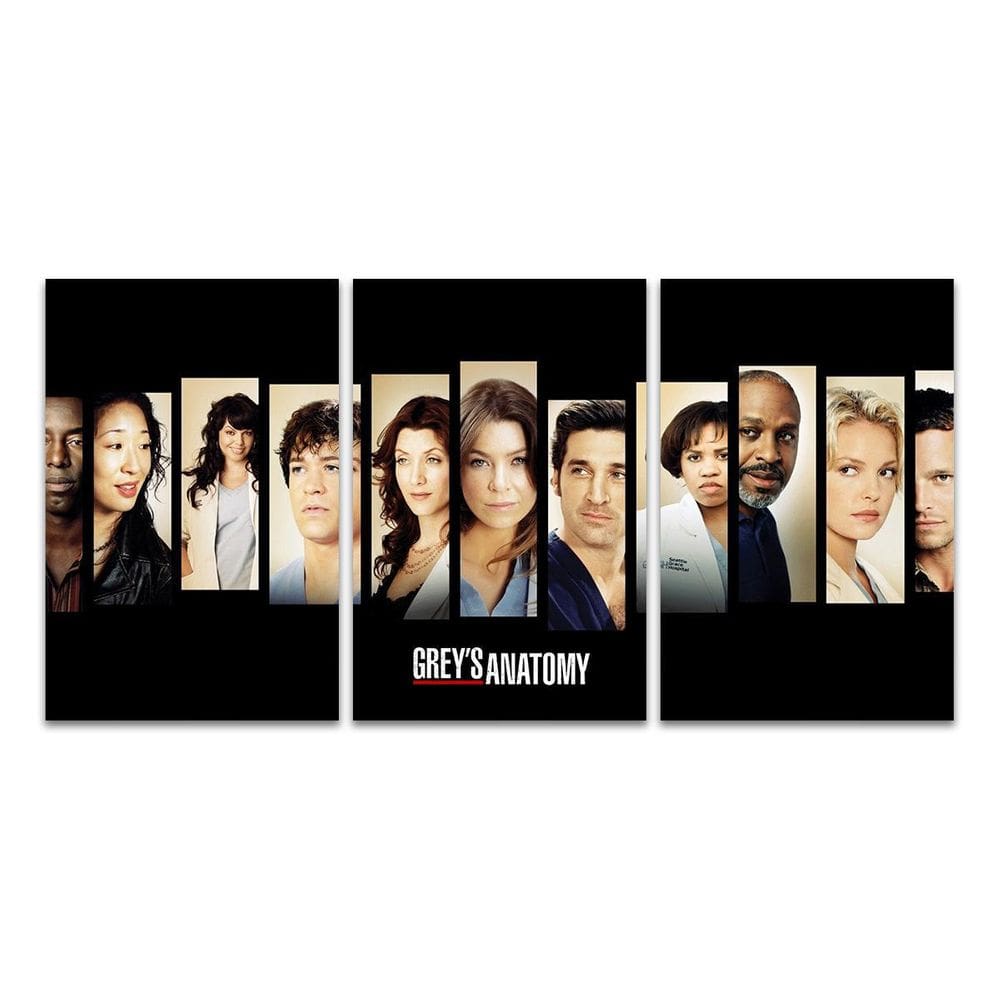 Kit 3 Placas Decorativas Greys Anatomy Medicina Mdf