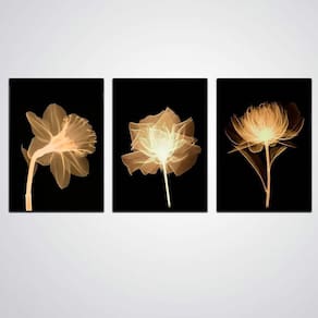 Kit Quadros Decorativos Fundo Preto Flores Amarelas