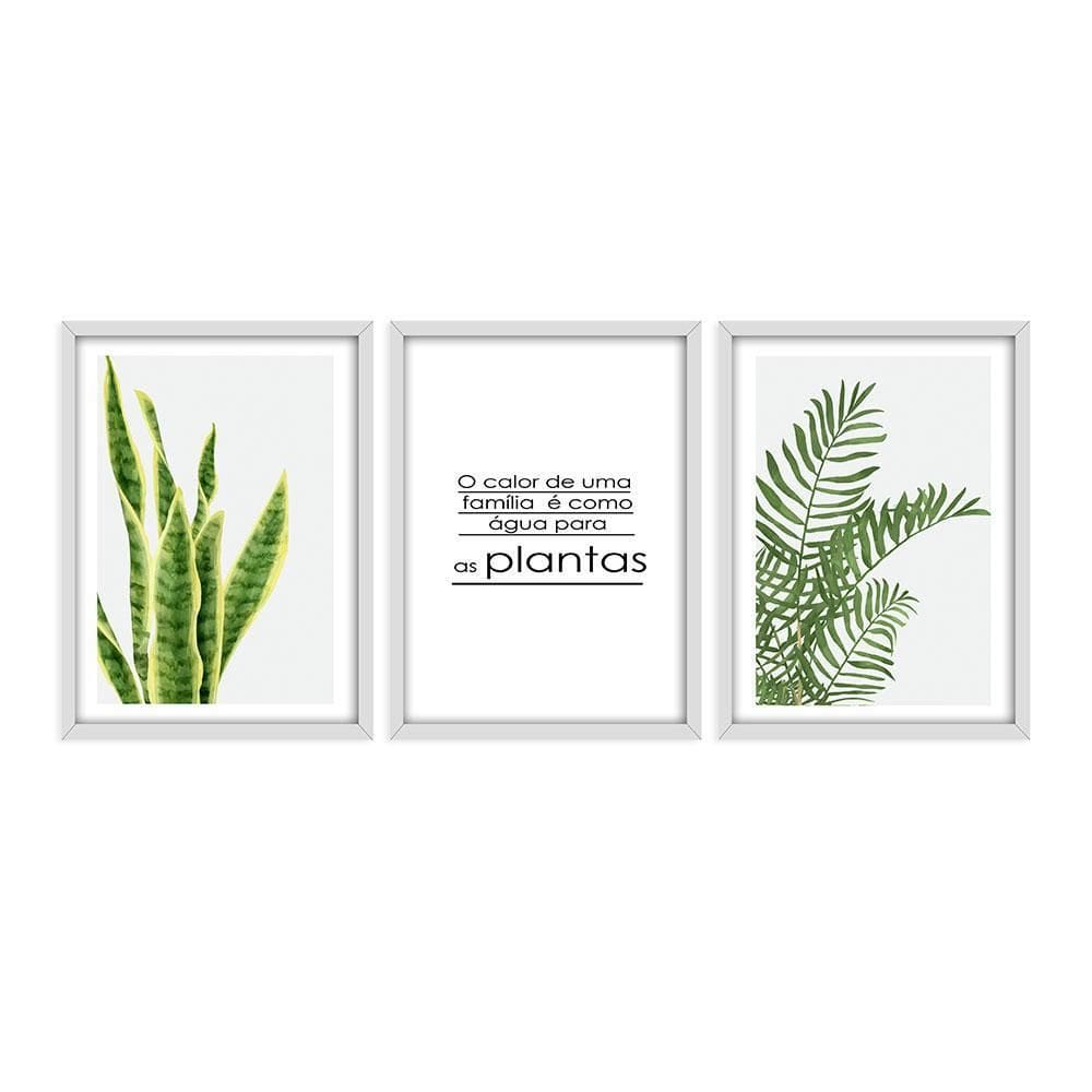 Kit 3 Quadros Decorativos Folhagem Frases Motivacionais
