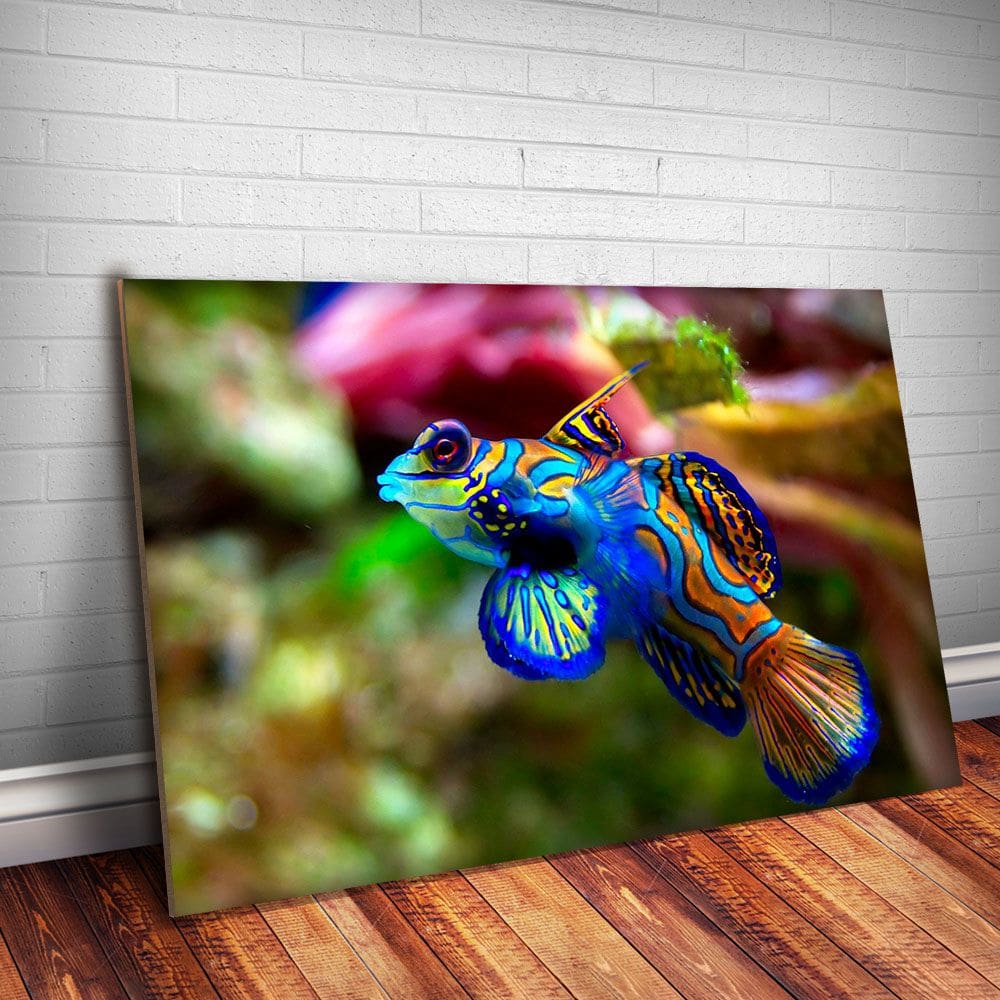 Placa Decorativa Animais 46 - Peixe MDF 20x30cm 3mm