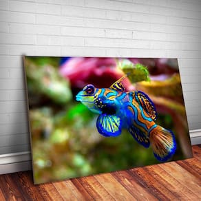 Placa Decorativa Animais 46 - Peixe MDF 20x30cm 3mm