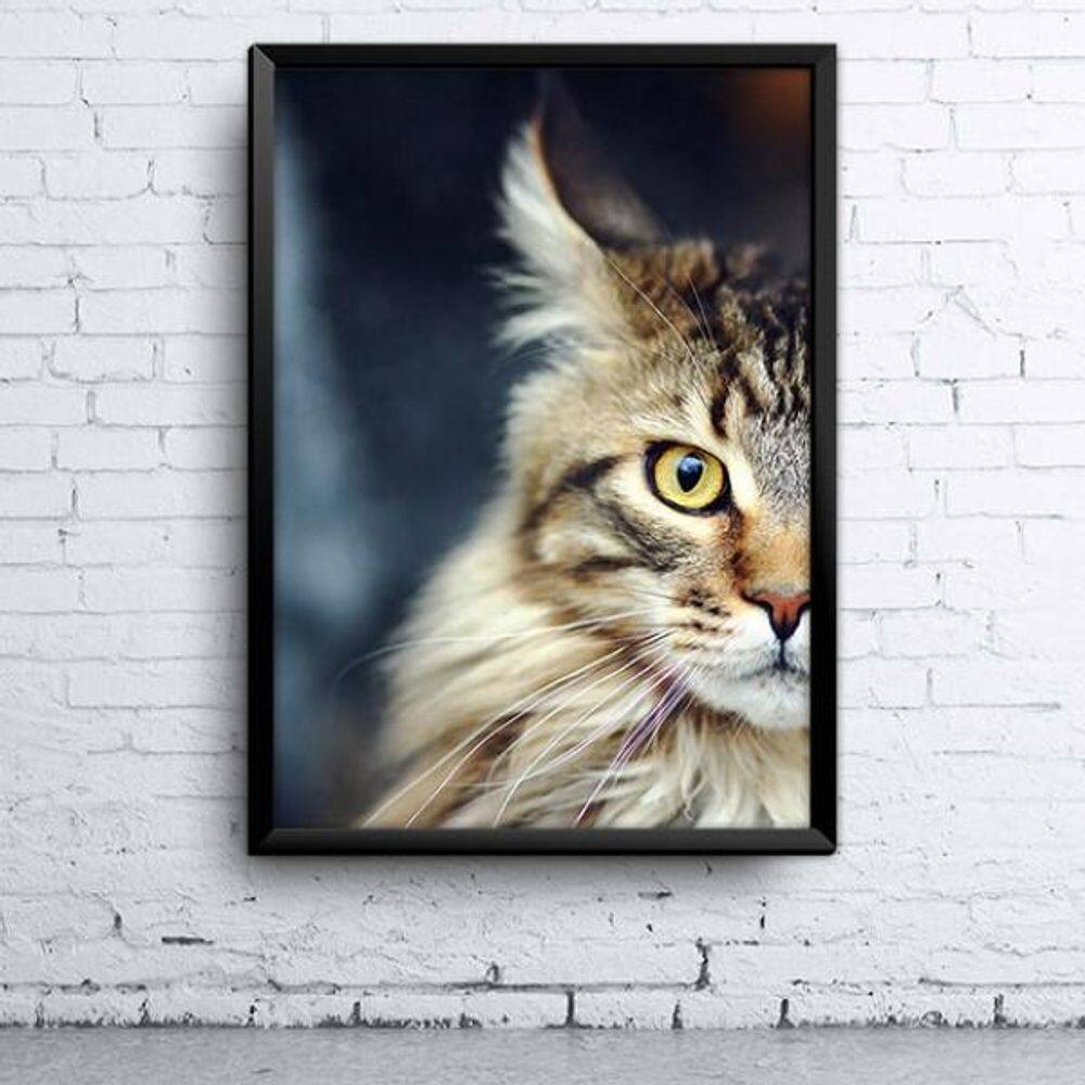 Quadro Cat A4