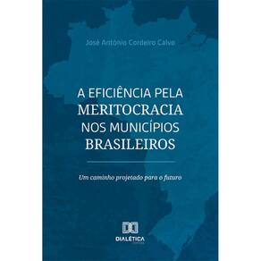 A eficiência pela meritocracia nos municípios brasileiros