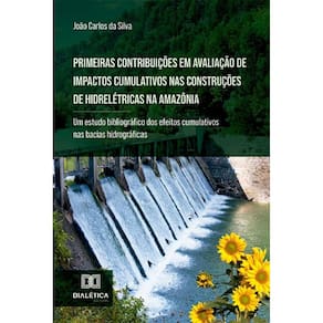 Primeiras contribuições em avaliação de impactos cumulativos nas construções de hidrelétricas na Amazônia: um estudo bibliográfico dos efeitos cumula