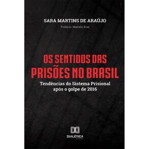 Os Sentidos das Prisões no Brasil: tendências do sistema prisional após o golpe de 2016