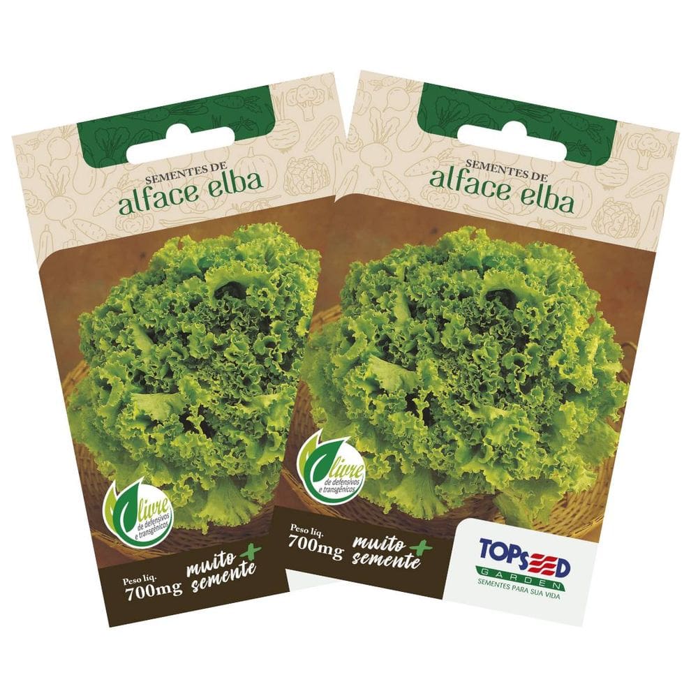 2X Sementes de Alface Crespa Elba TOPSEED