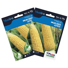 2X Sementes de Milho Doce Azteca Blueline TOPSEED