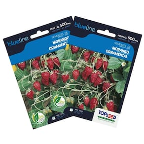 2X Sementes de Morango Ornamental Blueline TOPSEED