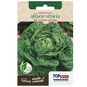 Sementes de Alface Lisa Vitória de Santo Antão TOPSEED