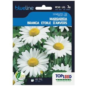 Sementes de Margarida Branca Blueline TOPSEED