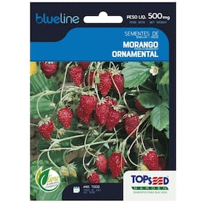 Sementes de Morango Ornamental Blueline TOPSEED