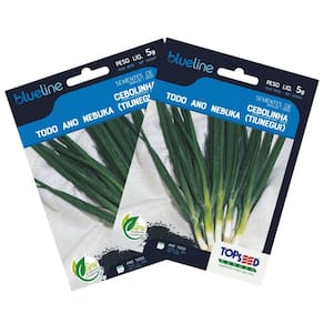 2X Sementes de Cebolinha (Nebuka Tiunegui) Blueline TOPSEED