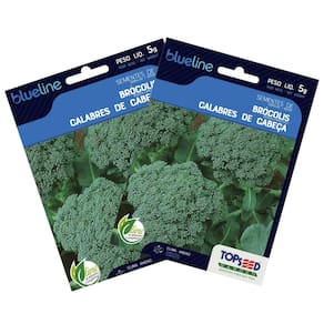 2X Sementes de Brócolis Calabrês de Cabeça Blueline TOPSEED