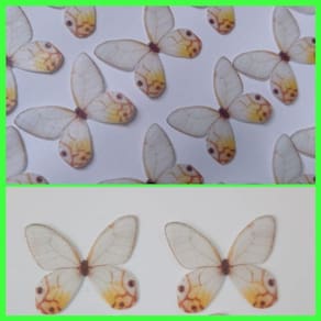 Borboleta Branca com Amarelo Mod 1