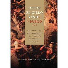 Desde el cielo vino y la buscó – vol. - Espanhol