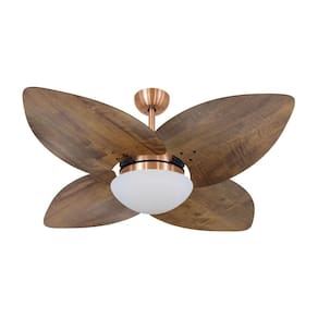 Ventilador De Teto Dormamu Cobre 4 Pás Rádica Imbuia 127v