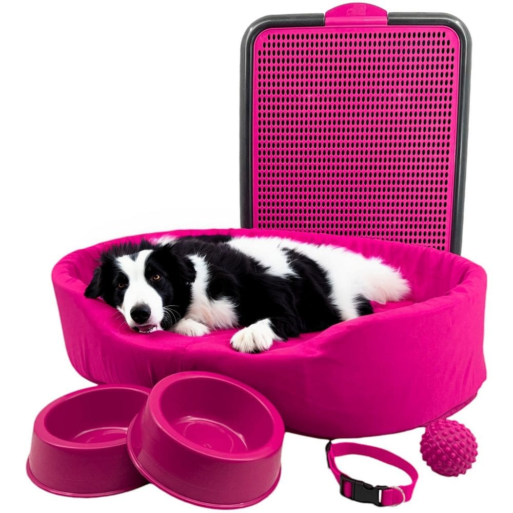 Kit Pet Grande Cama Europa Sanitário Comedouro Coleira Bola