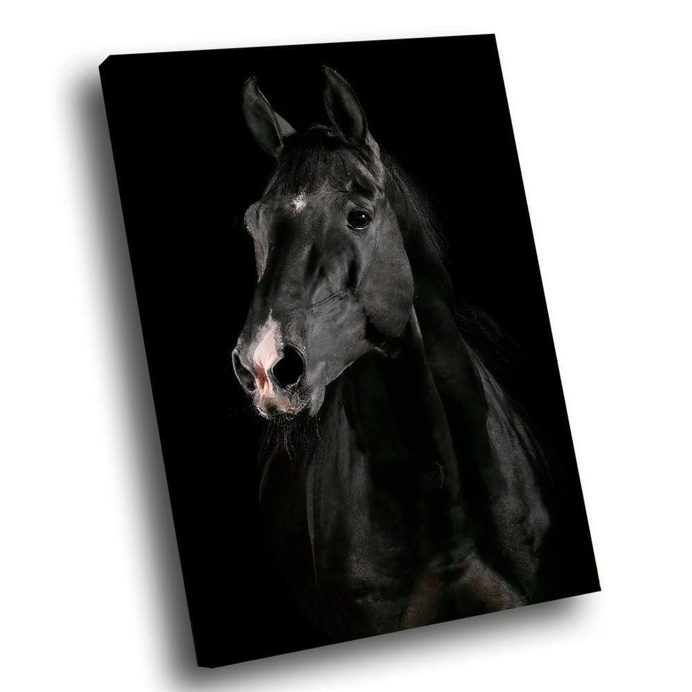 Quadro Cavalo Preto -- Br Artes