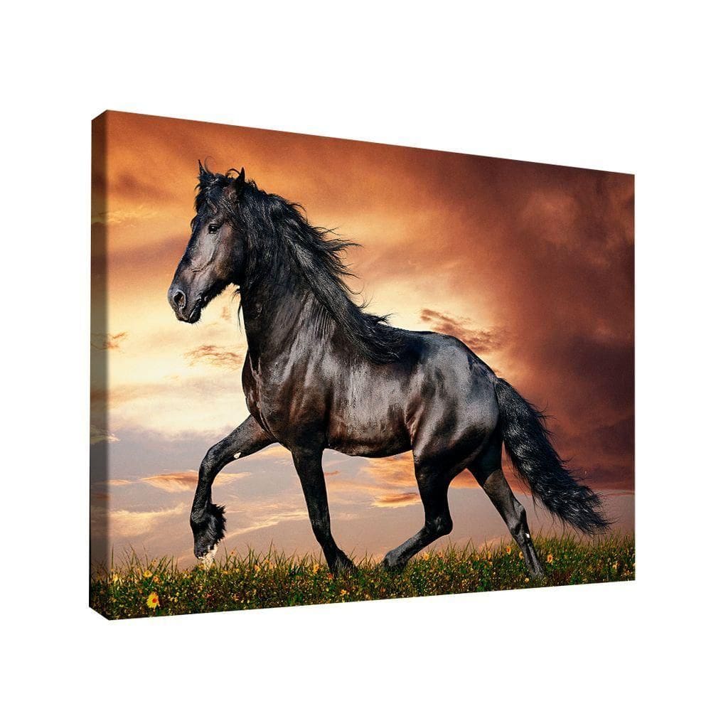 Quadro Cavalo Rei -- Br Artes
