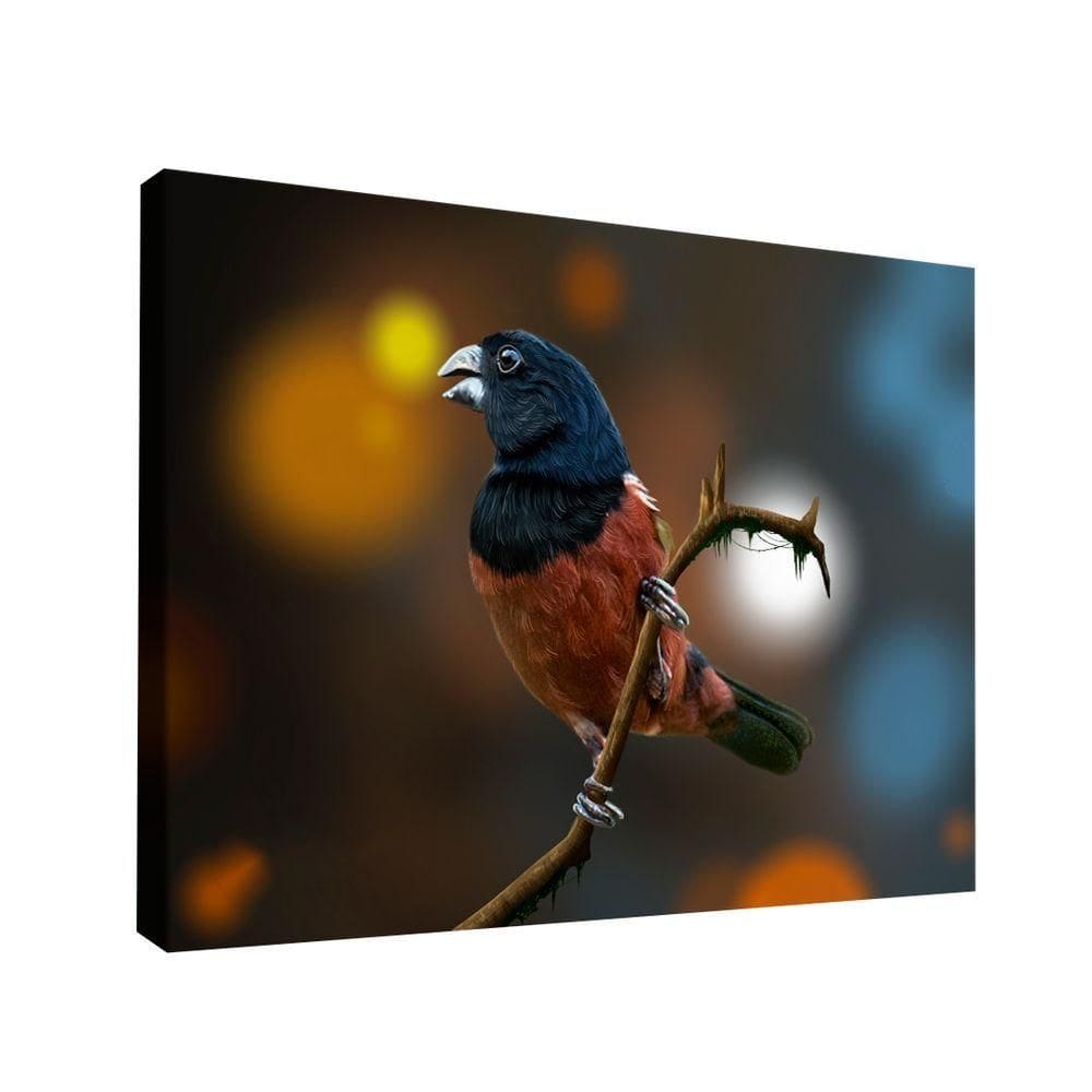 Quadro Curió -- Br Artes