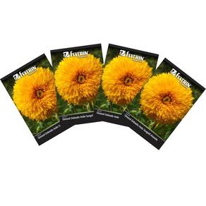 4X Sementes de Girassol Dobrado Anão Sungold FELTRIN