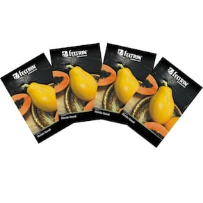 4X Sementes de Mamão Papaya Hawaii (Ouro) FELTRIN
