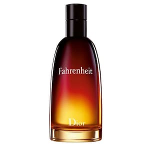 Perfume Fahrenheit Eau De Toilette Dior Masculino 100ml