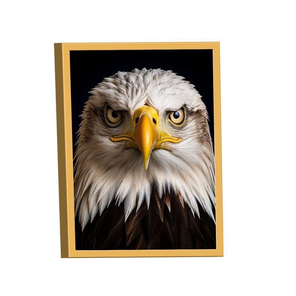 Quadro águia De Cabeça Branca -- Br Artes