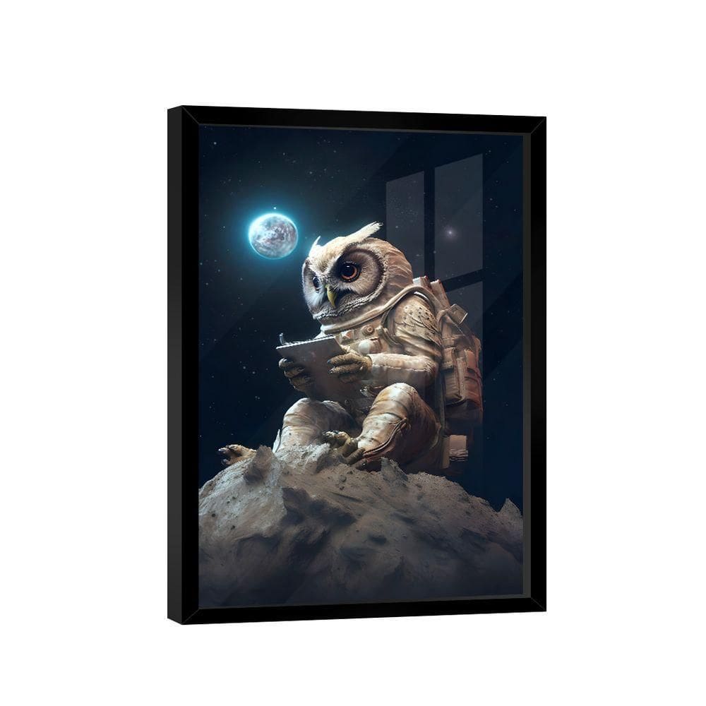 Quadro Coruja Espacial -- Br Artes