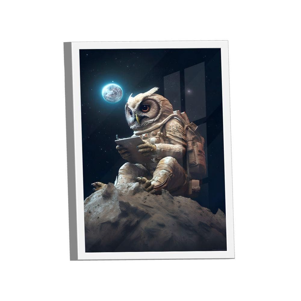 Quadro Coruja Espacial -- Br Artes